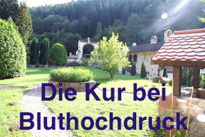 Bei Bluthochdruck eine Mayr Kur